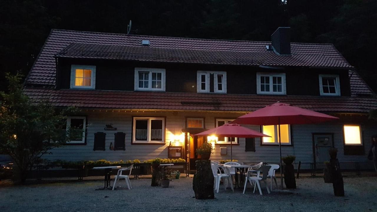 Waldpension Harzer Waldwinkel Bad Grund Ngoại thất bức ảnh