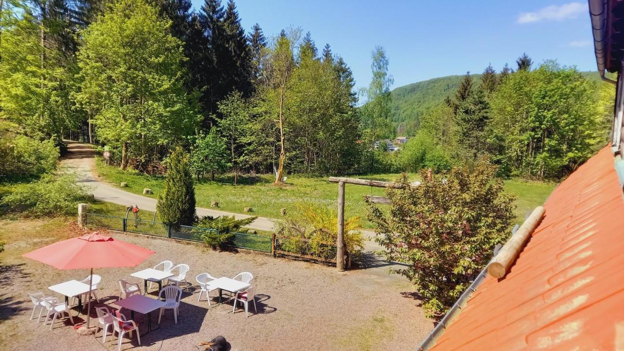 Waldpension Harzer Waldwinkel Bad Grund Ngoại thất bức ảnh